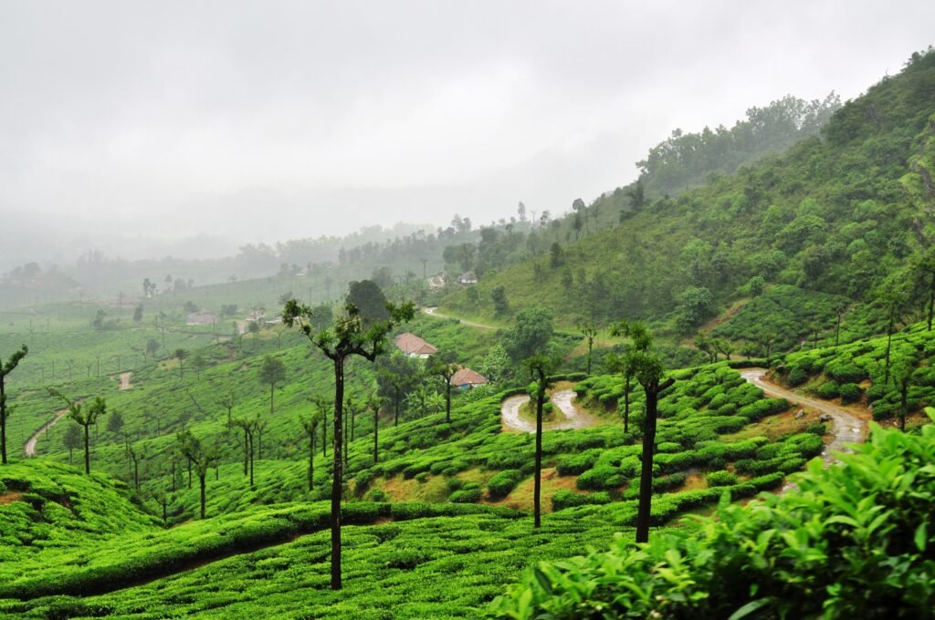 Exploring The Magic of The RainMaker: Kalasa, Chikmagalur - The She Saga